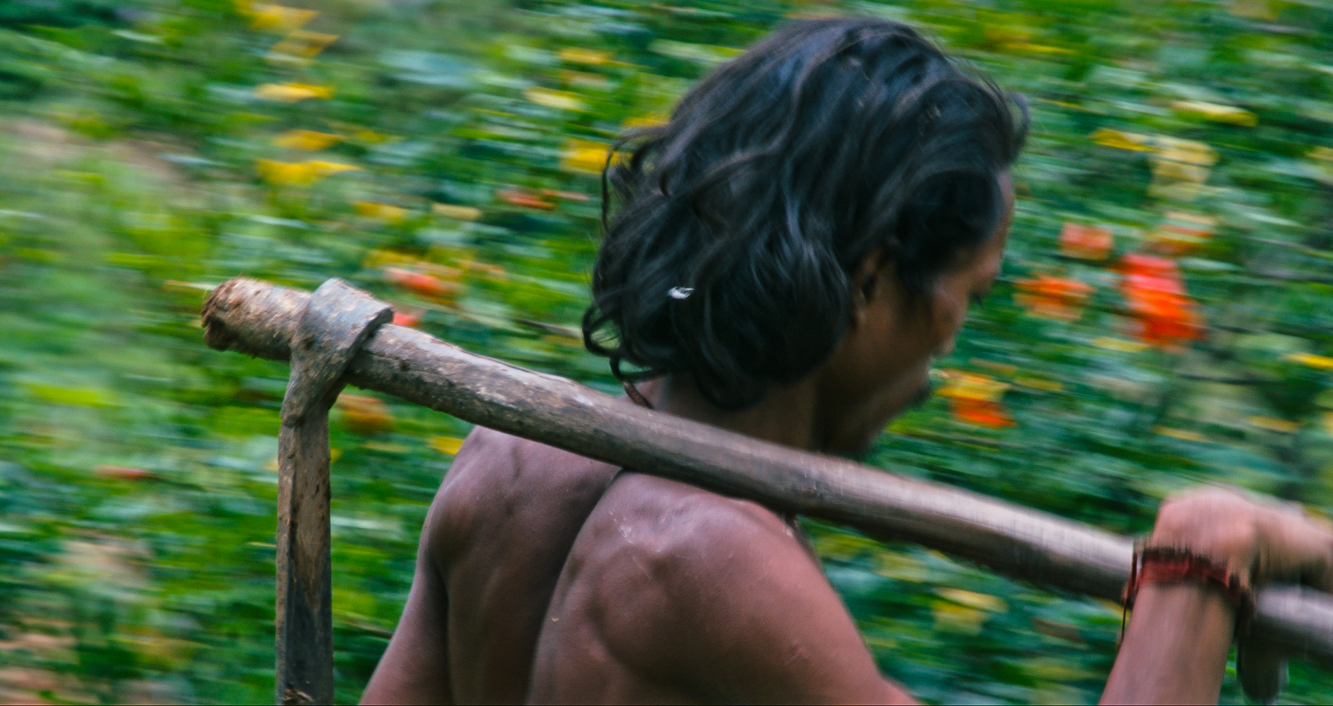 Tikaram carrying a wooden farming tool over his shoulder in a green field.