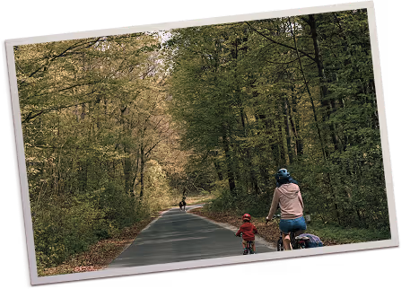 Person and child riding bicycles on a paved path through a dense forest.