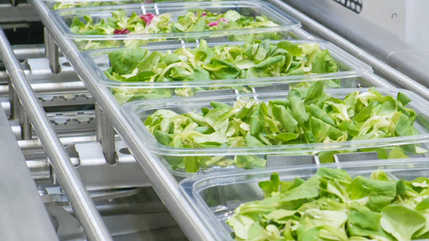 Frutas y Verduras