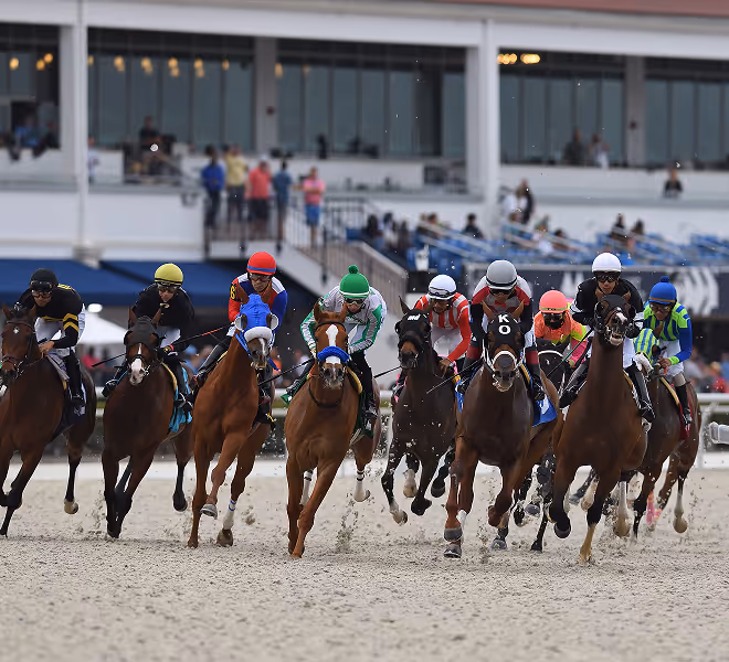 Thoroughbreds race down the track during a South Florida Horsemen’s Group competition.