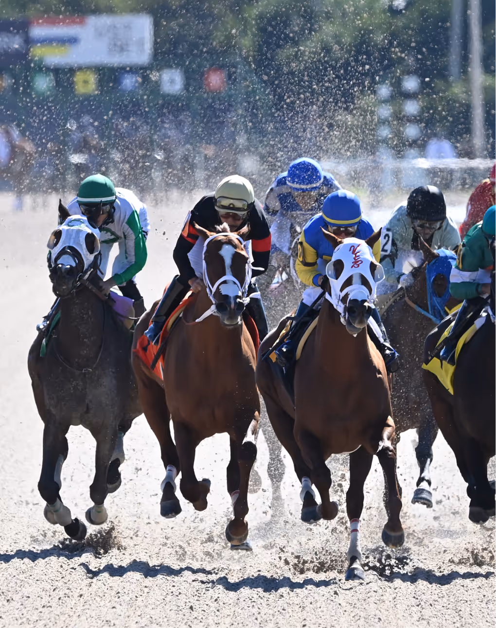Horses surge toward finish line in South Florida Horsemen’s Group race.