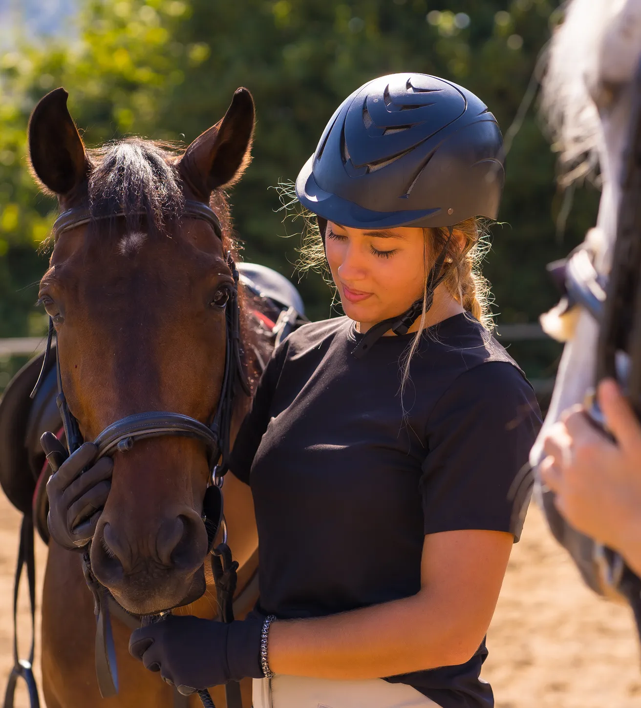 Female rider in helmet gently holds thoroughbred representing South Florida Horsemen’s Group.