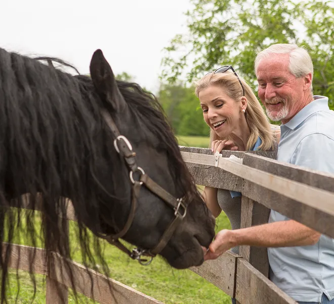 Couple feeds horse over fence showing community ties with South Florida Horsemen’s Group.