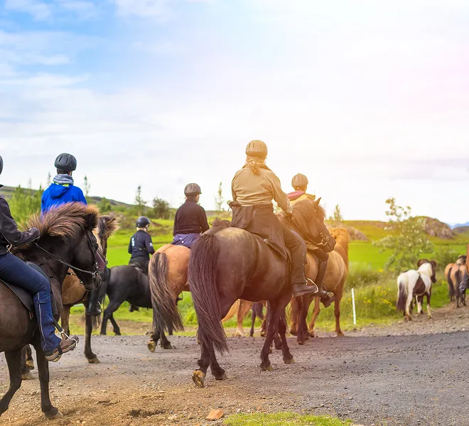 Riders on horseback travel scenic trail representing South Florida Horsemen’s Group community.