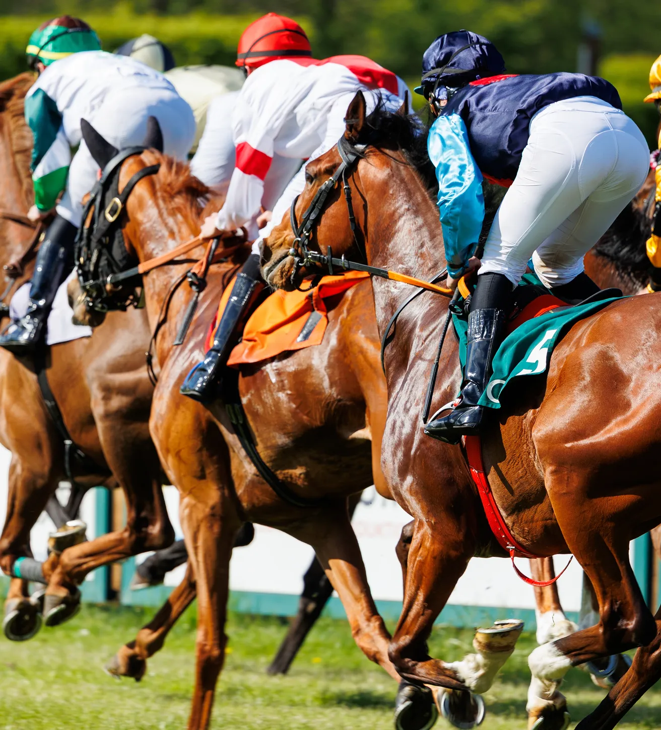 Jockeys race thoroughbreds in competition supported by South Florida Horsemen’s Group.