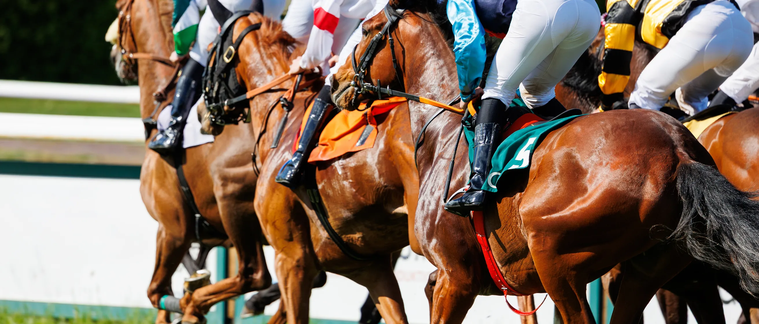 Thoroughbreds surge forward in race backed by South Florida Horsemen’s Group.