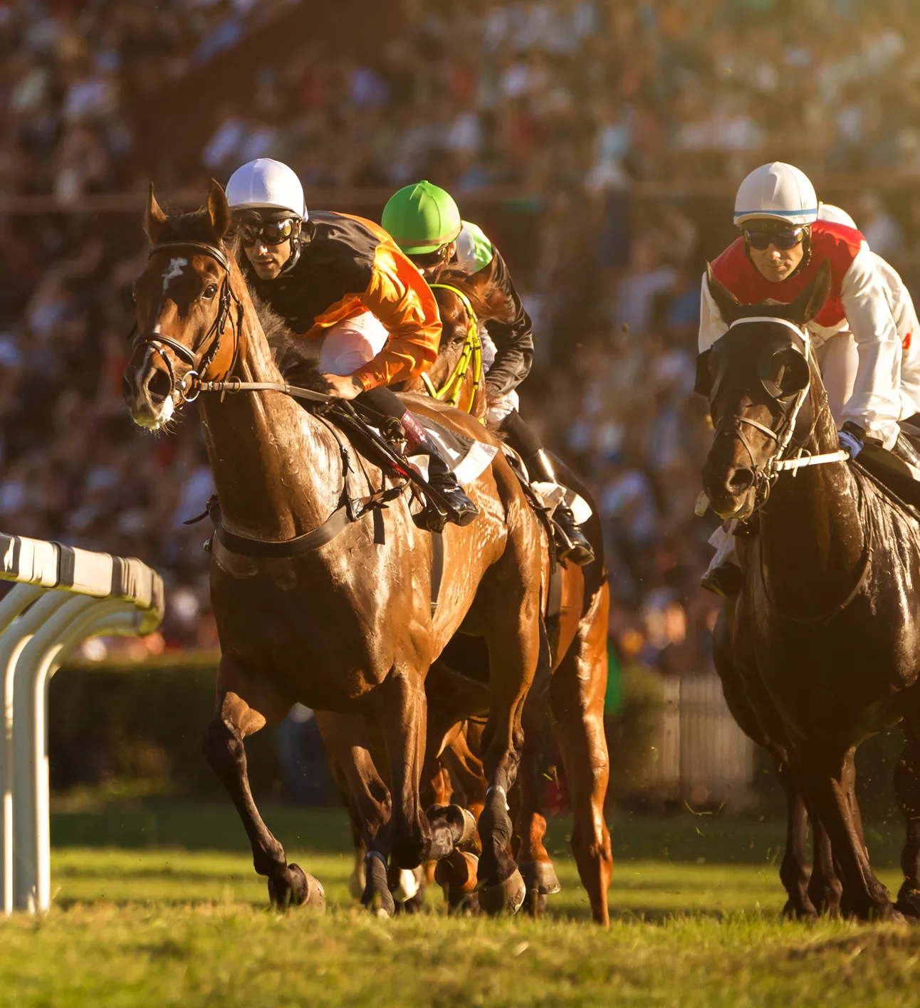 Jockeys race toward finish line representing South Florida Horsemen’s Group events.