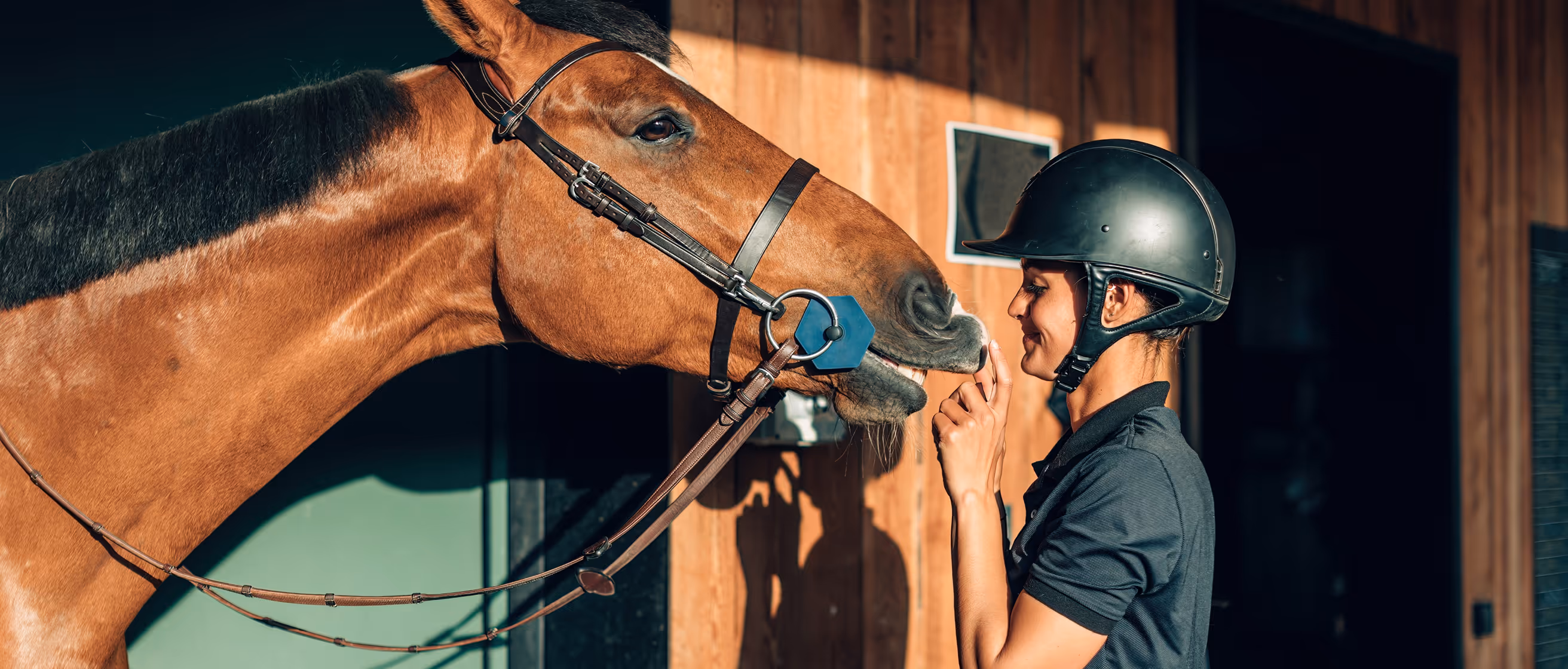 Rider shares quiet moment with horse reflecting South Florida Horsemen’s Group values.