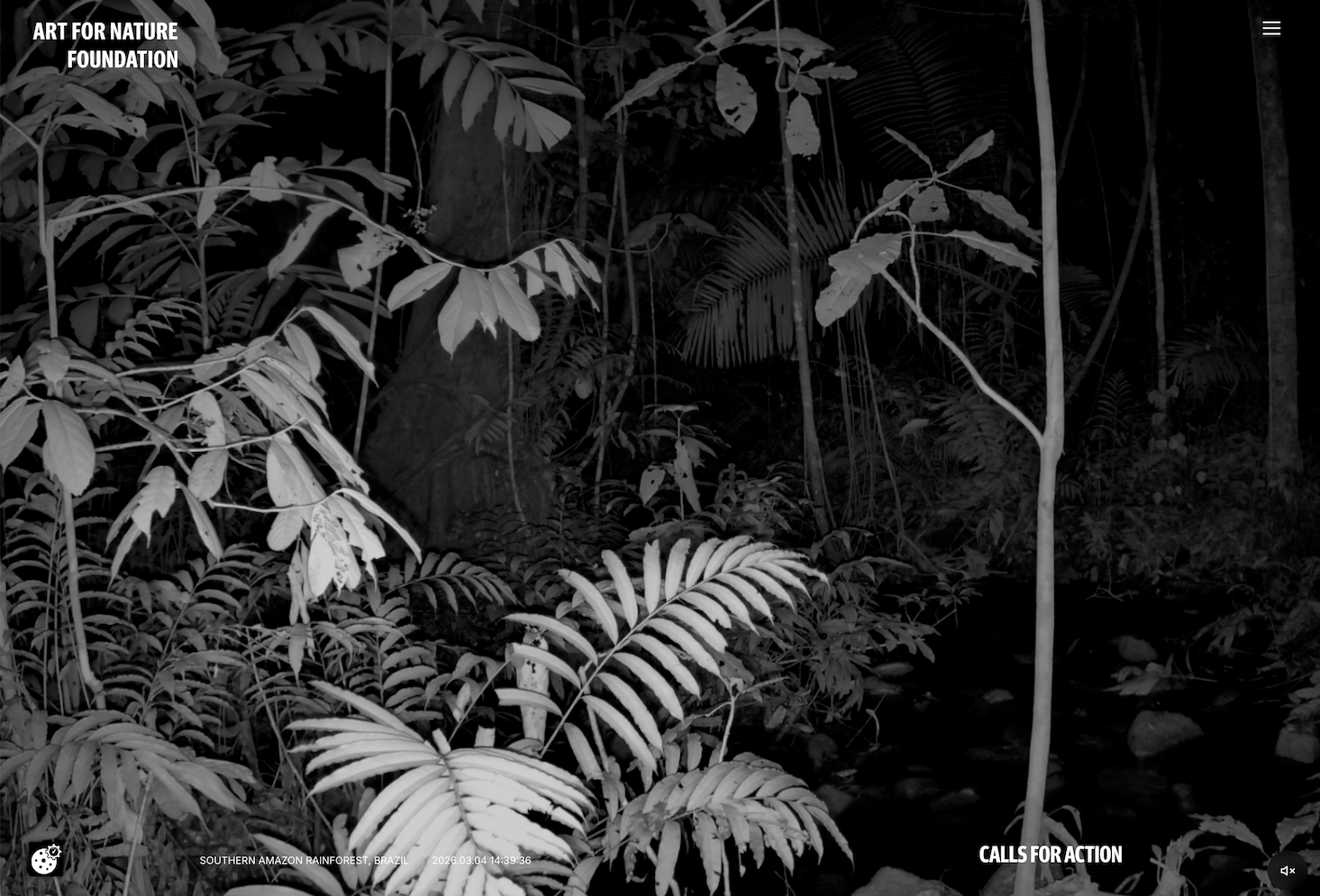 Art for Nature Foundation