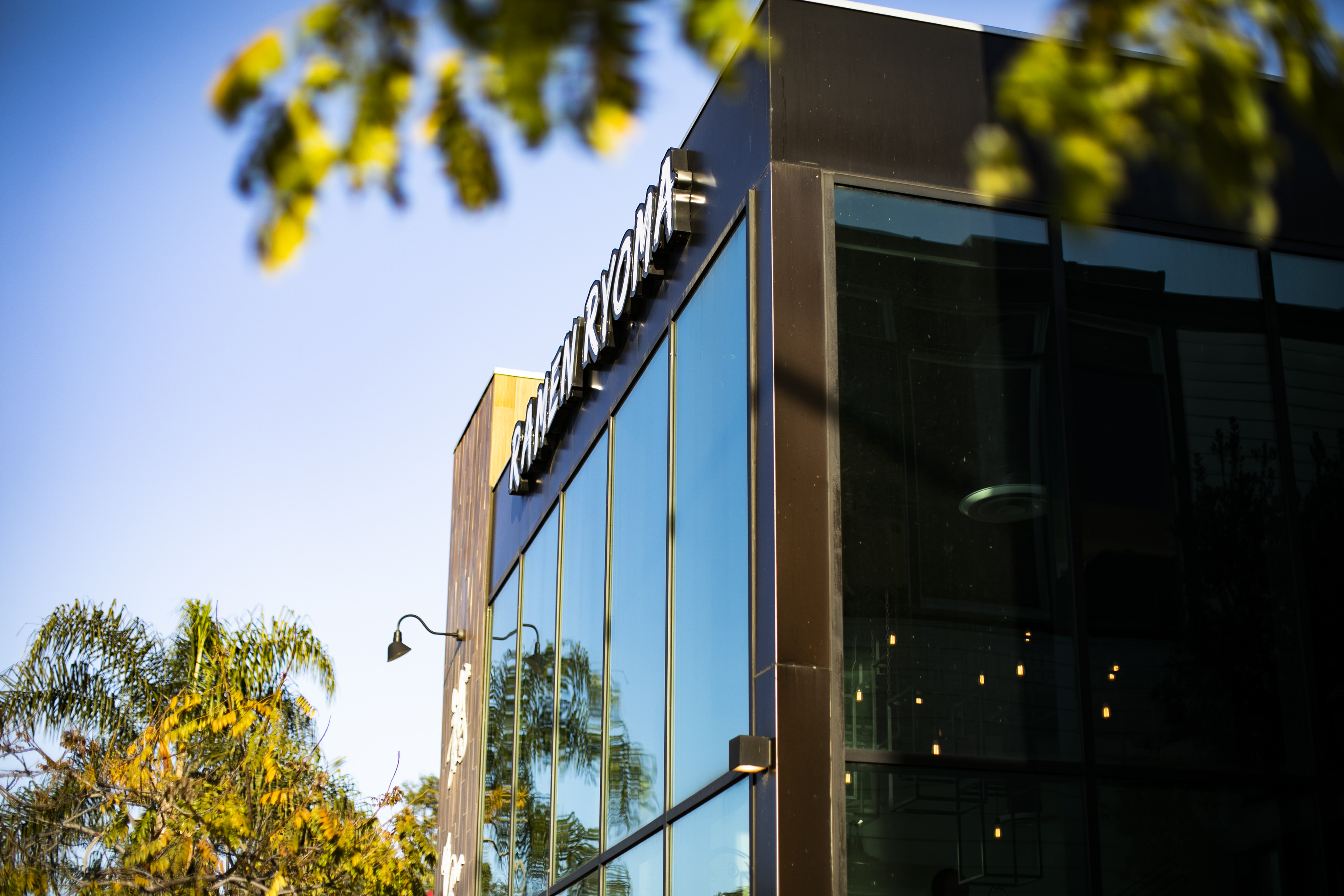 Modern building with large glass windows reflecting palm trees and a clear sky.
