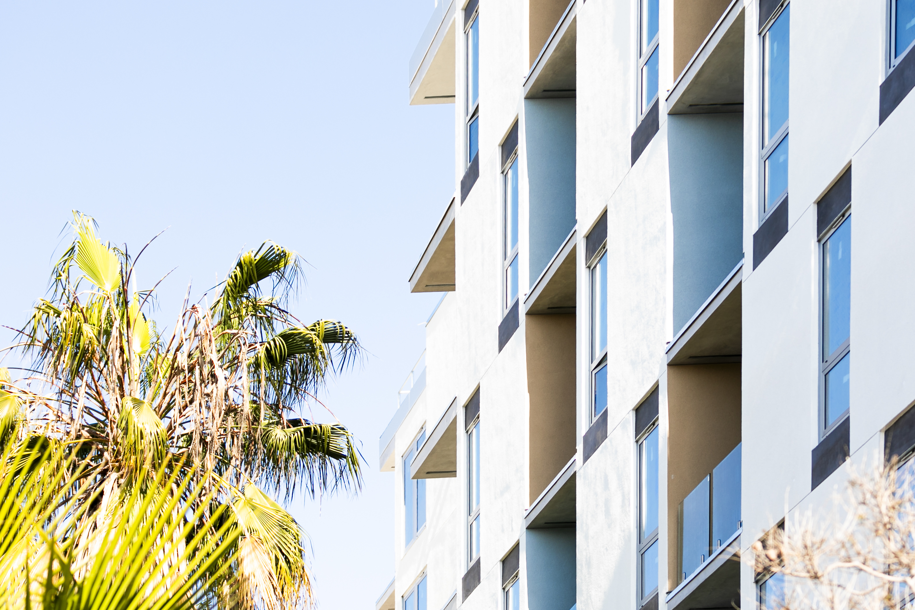 Modern white apartment building facade with glass balconies beside a palm tree under a clear blue sky.