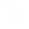 x icon