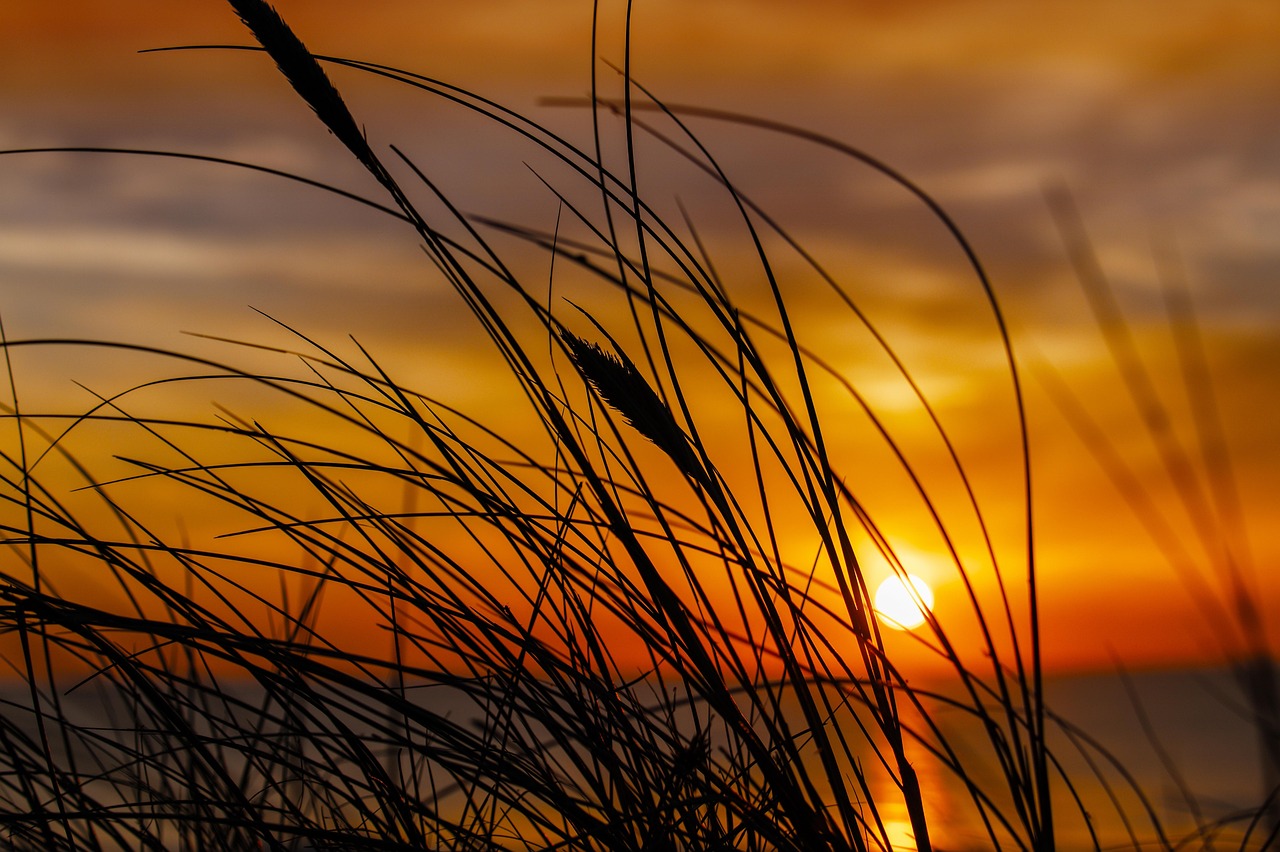 Sonnenuntergang, Dünen