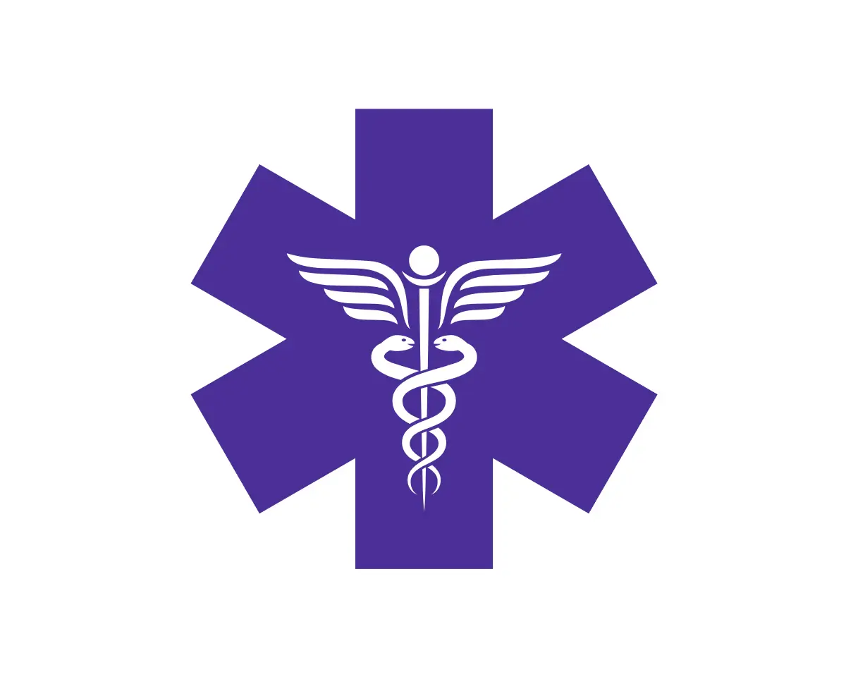 Purple Star of Life EMS symbol with Rod of Asclepius, representing emergency medical services and paramedics.