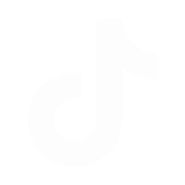 the tiktok logo