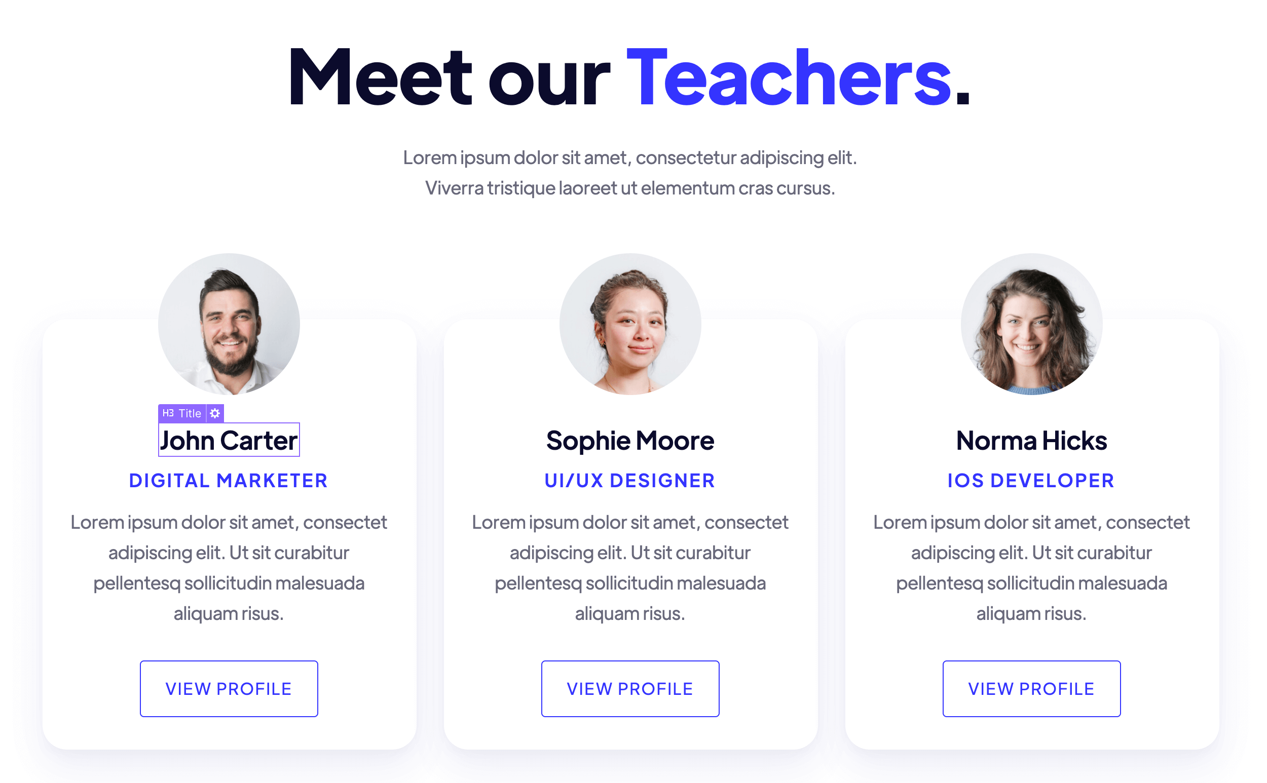 Static Content - Academy Webflow Template