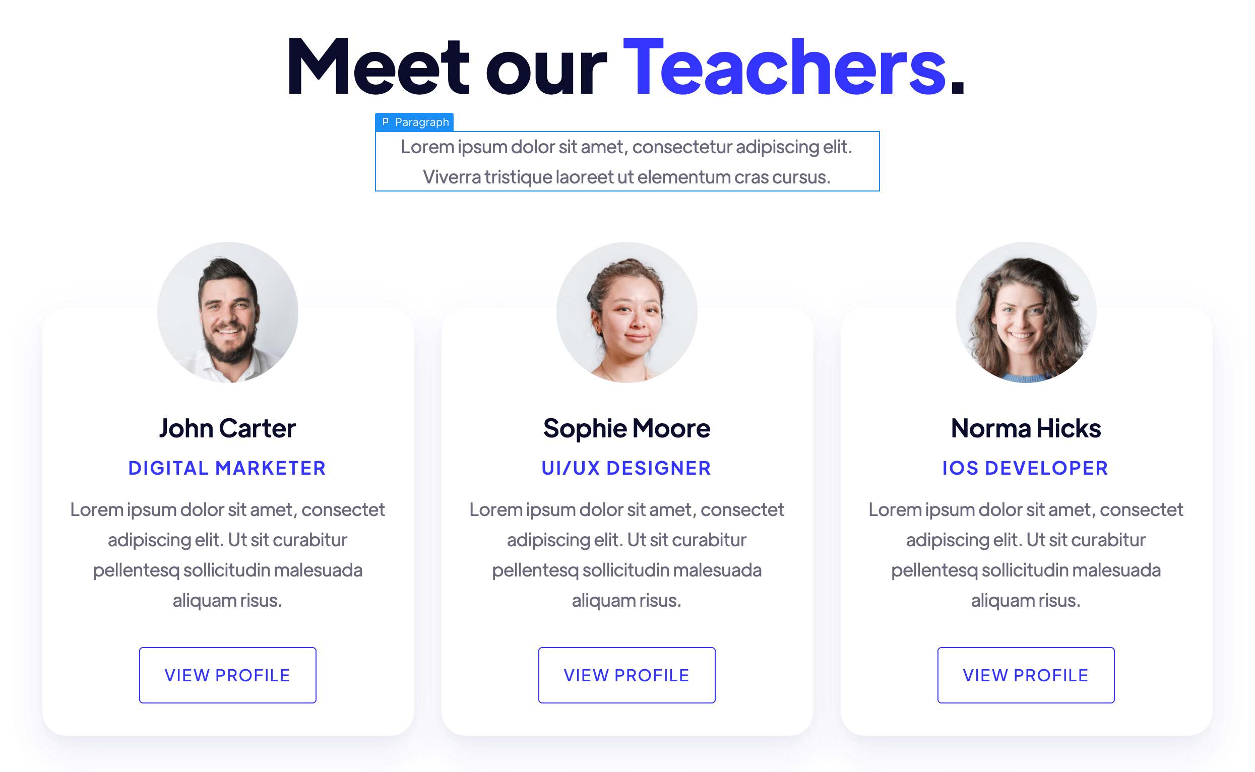 Static Content - Academy Webflow Template