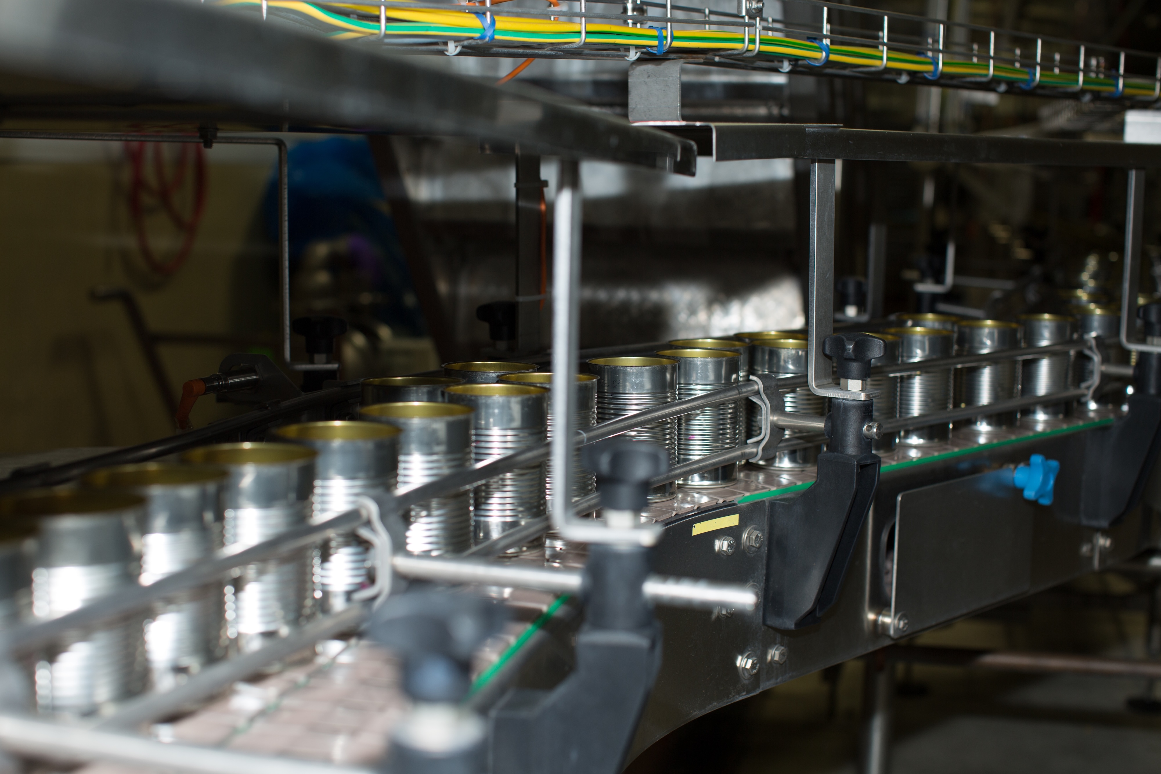 An industrial conveyor system in a canning facility, showing rows of empty silver metal cans moving along a stainless steel production line with overhead wiring.
