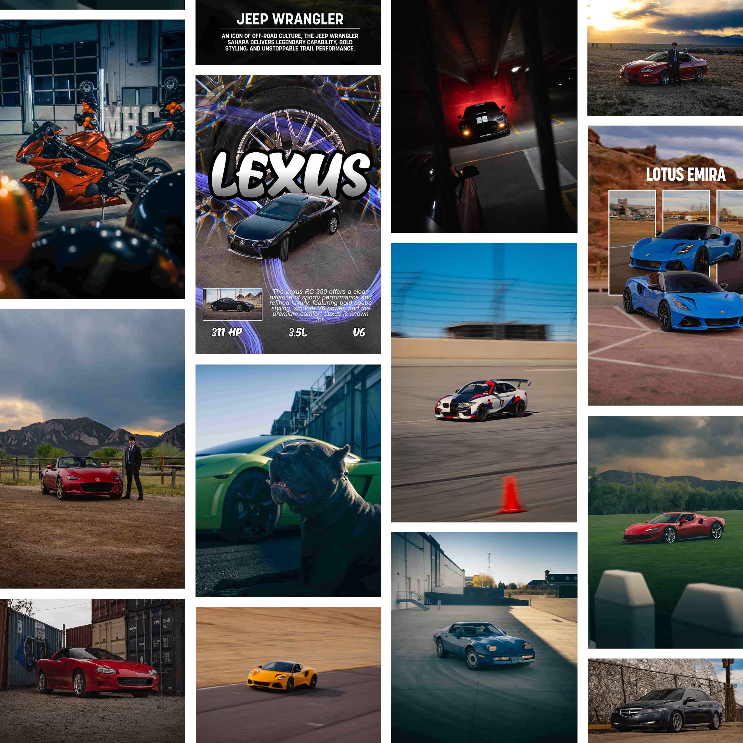 Collage of various cars, including sports cars, luxury cars, a motorcycle, and a dog by a sports car.