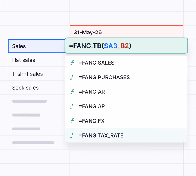 Spreadsheet formula bar showing an Excel function starting with =FANG.TB and suggestions for related functions like FANG.AF_AMOUNT and FANG.CUSTOMER_AMOUNT.