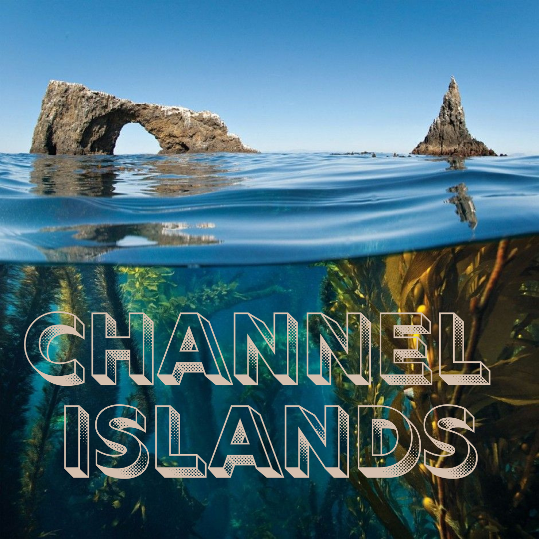 Channel Islands