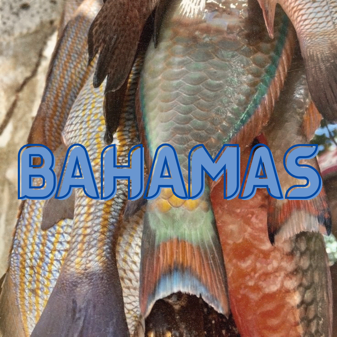 Bahamas