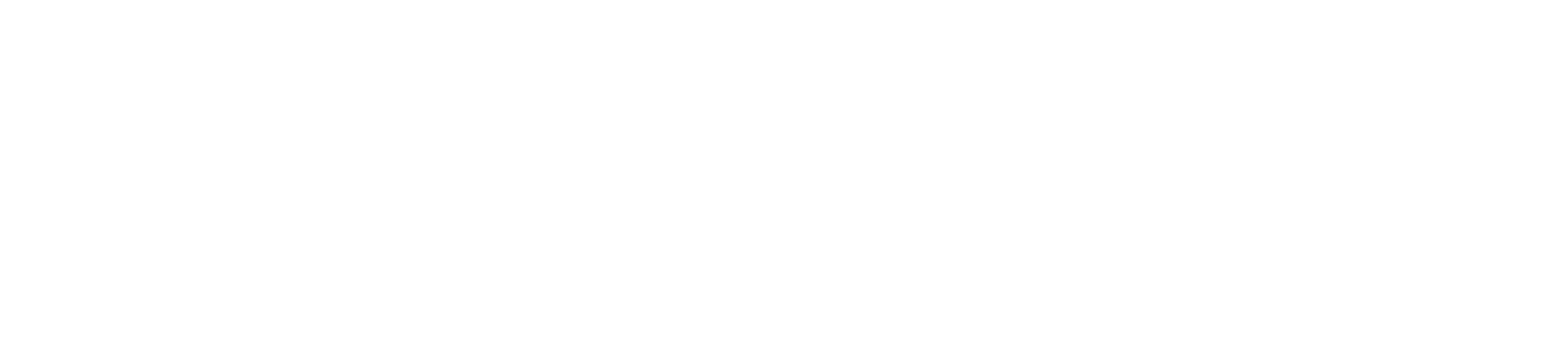 MendWell Wound Care Logo