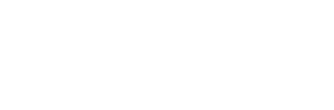 Berg Lain venture capital firm logo