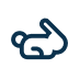 rabbit symbol