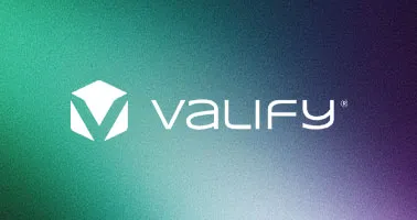 springbolt digital asset toolkit valify s case study