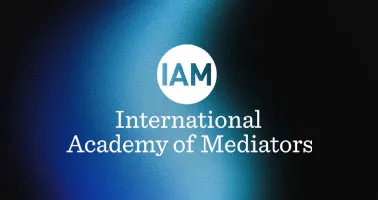 springbolt brand development international academy of mediators s case study