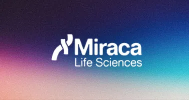springbolt rebranding support miraca life sciences s case study