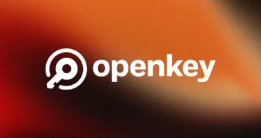 springbolt digital asset development openkey s case study