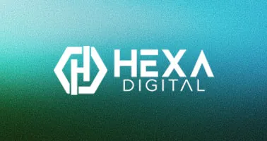 springbolt multiple client service engagements hexa agency 50 s case study