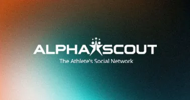 springbolt marketing alphascout s case study