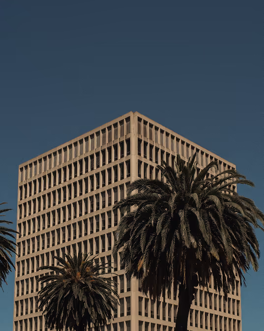 A tall beige office building with uniform rectangular windows, partially obscured by large palm trees under a clear blue sky.