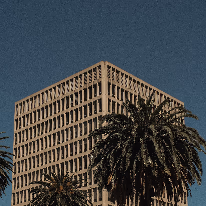 Modern beige office building with symmetrical windows behind tall palm trees under a clear blue sky.