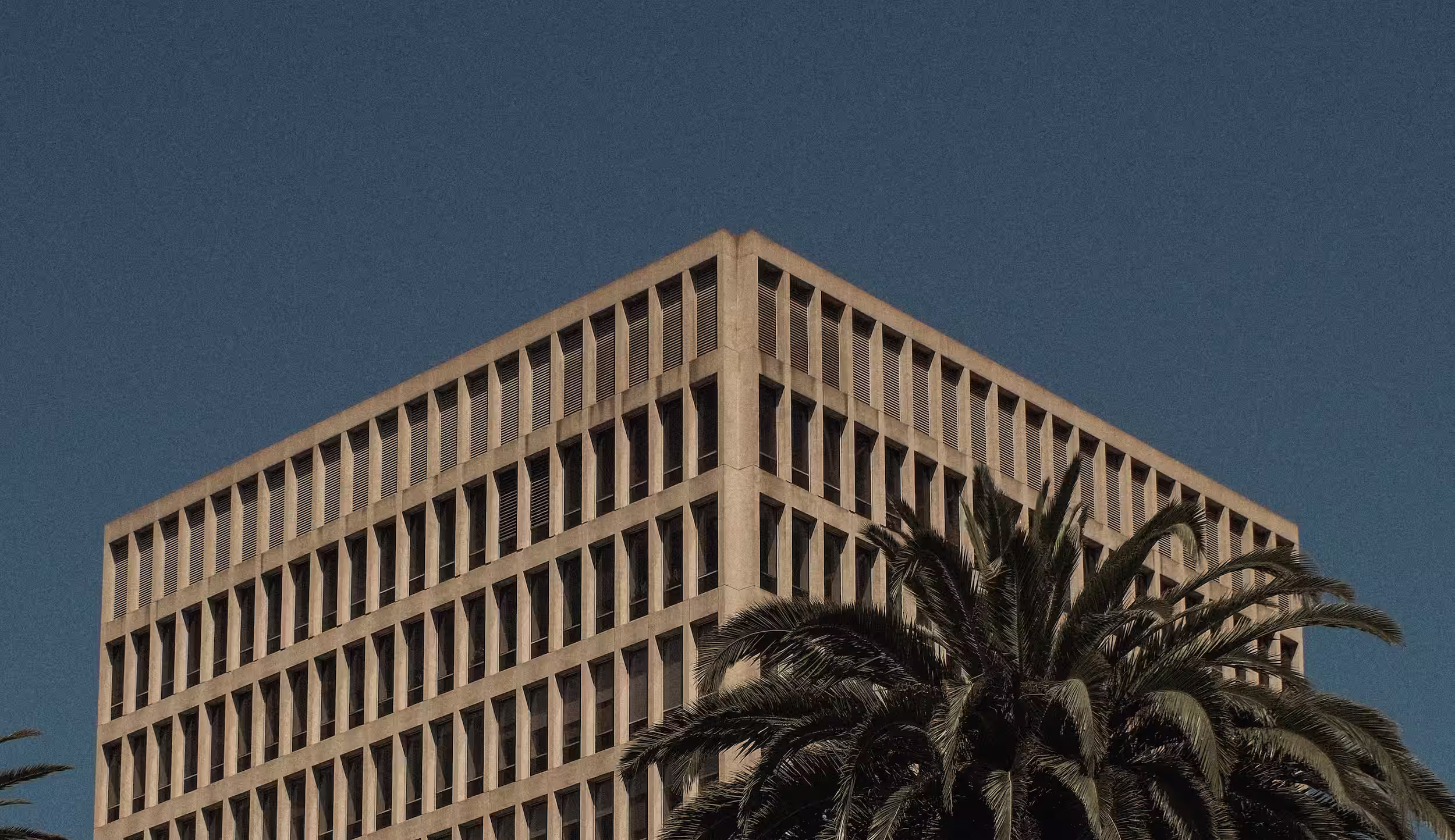 Modern concrete building with multiple rows of windows behind tall palm trees against a clear blue sky.