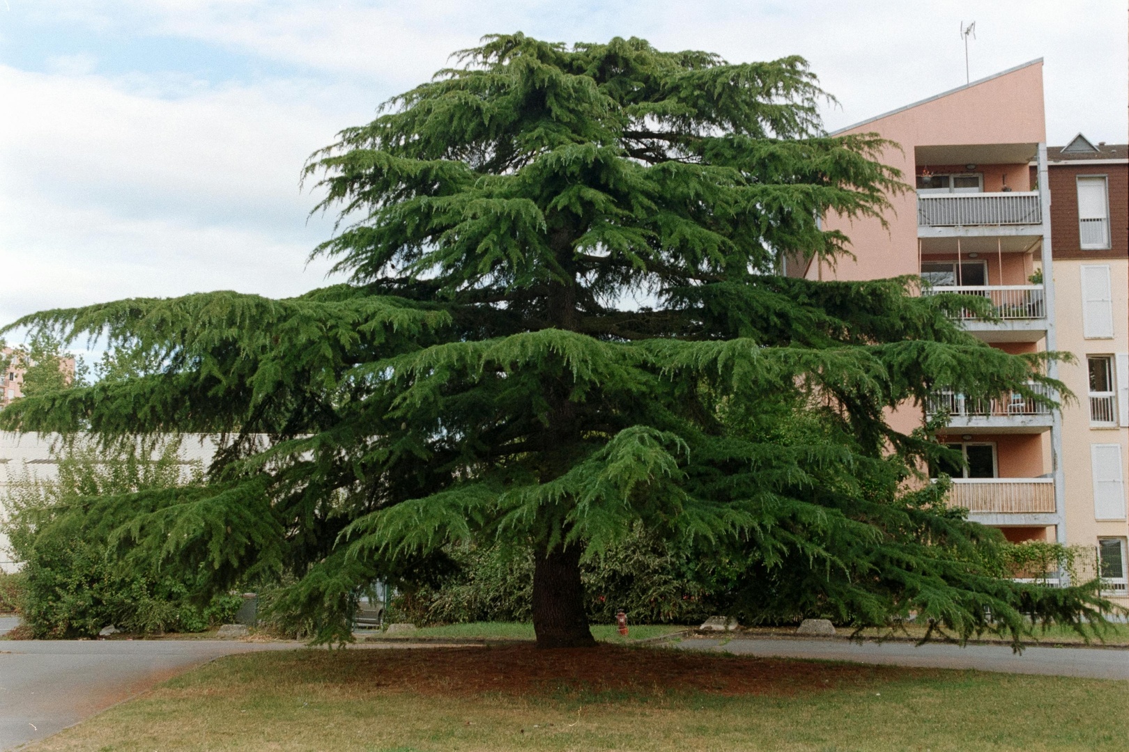 ADEQUALOGE - Voisins-le-Bretonneux