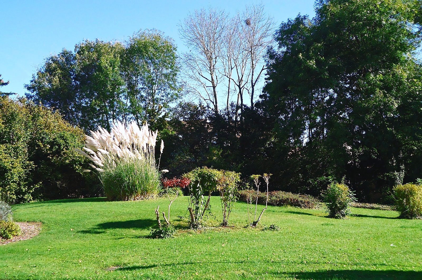 Bernardin-de-Saint-Pierre