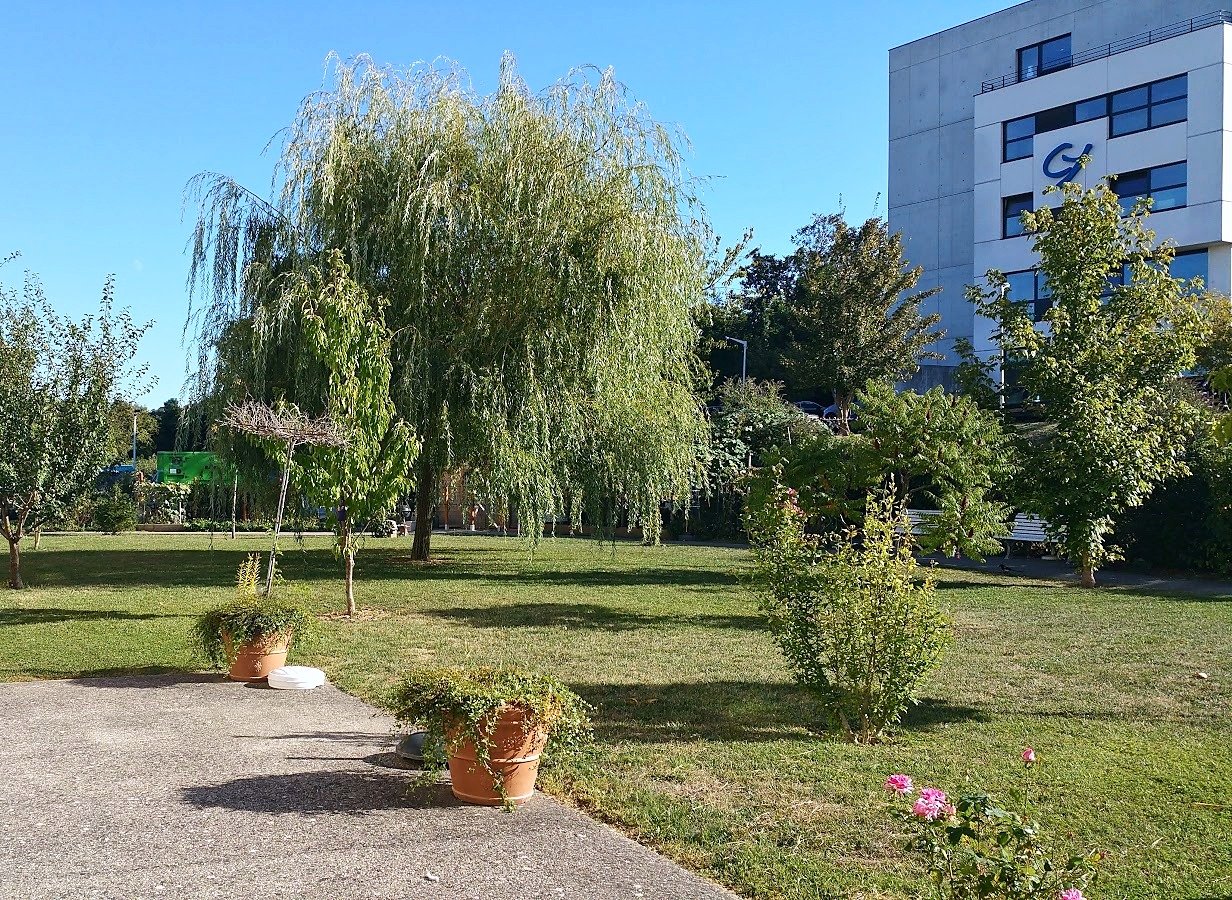 EHPAD L’Ermitage à Longjumeau - Colisée