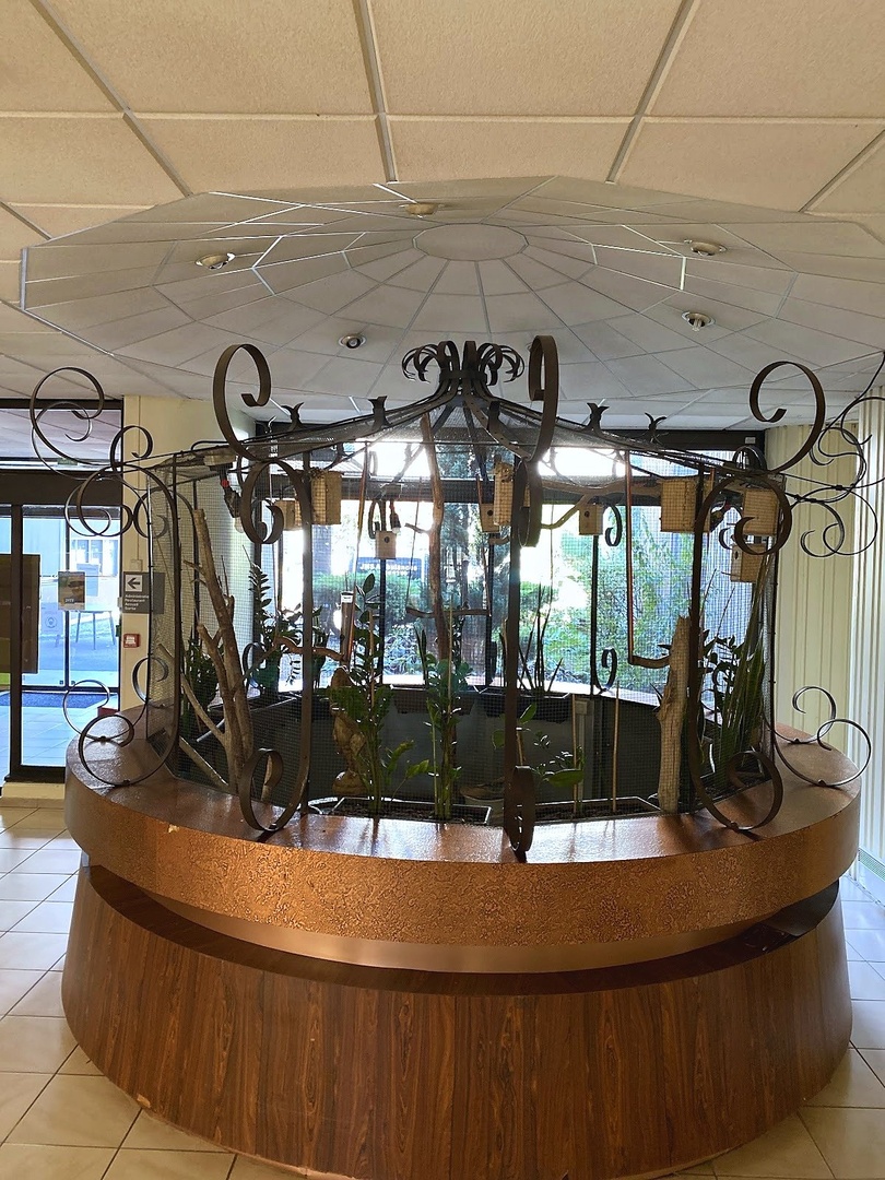 Cousin de Méricourt