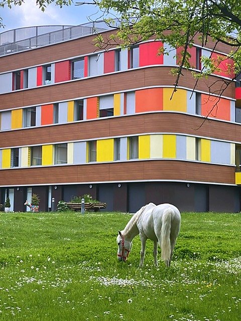 EHPAD le Patio