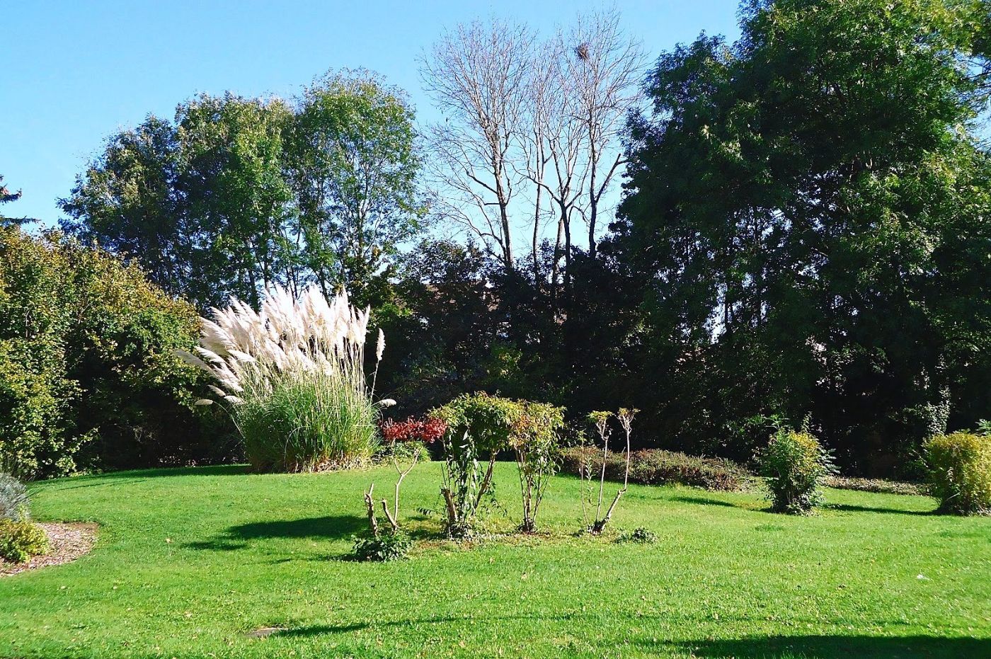 Bernardin-de-Saint-Pierre