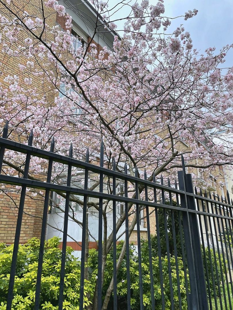 EHPAD Fondation de Rothschild