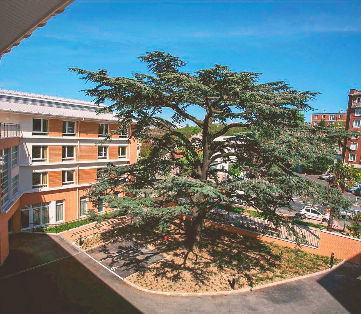 EHPAD la maison du Grand Cèdre - Colisée