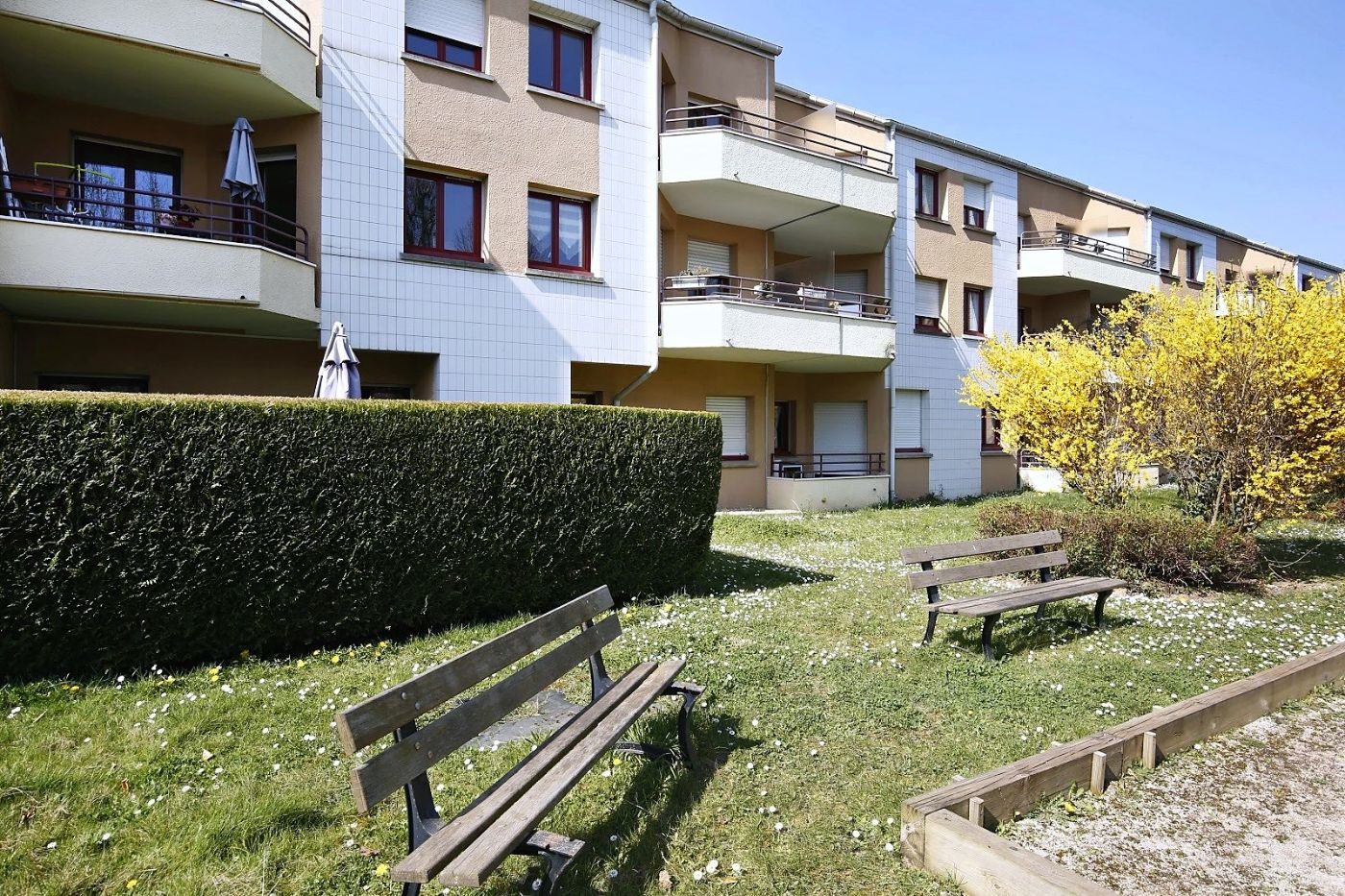 L'Avenue aux Moines - Arpavie