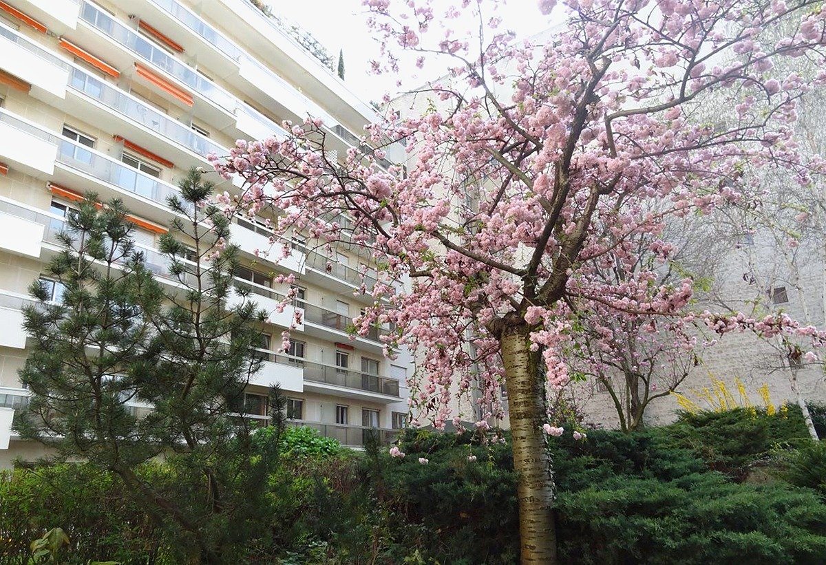Résidence Services Auteuil Chardon-Lagache - Les Hespérides