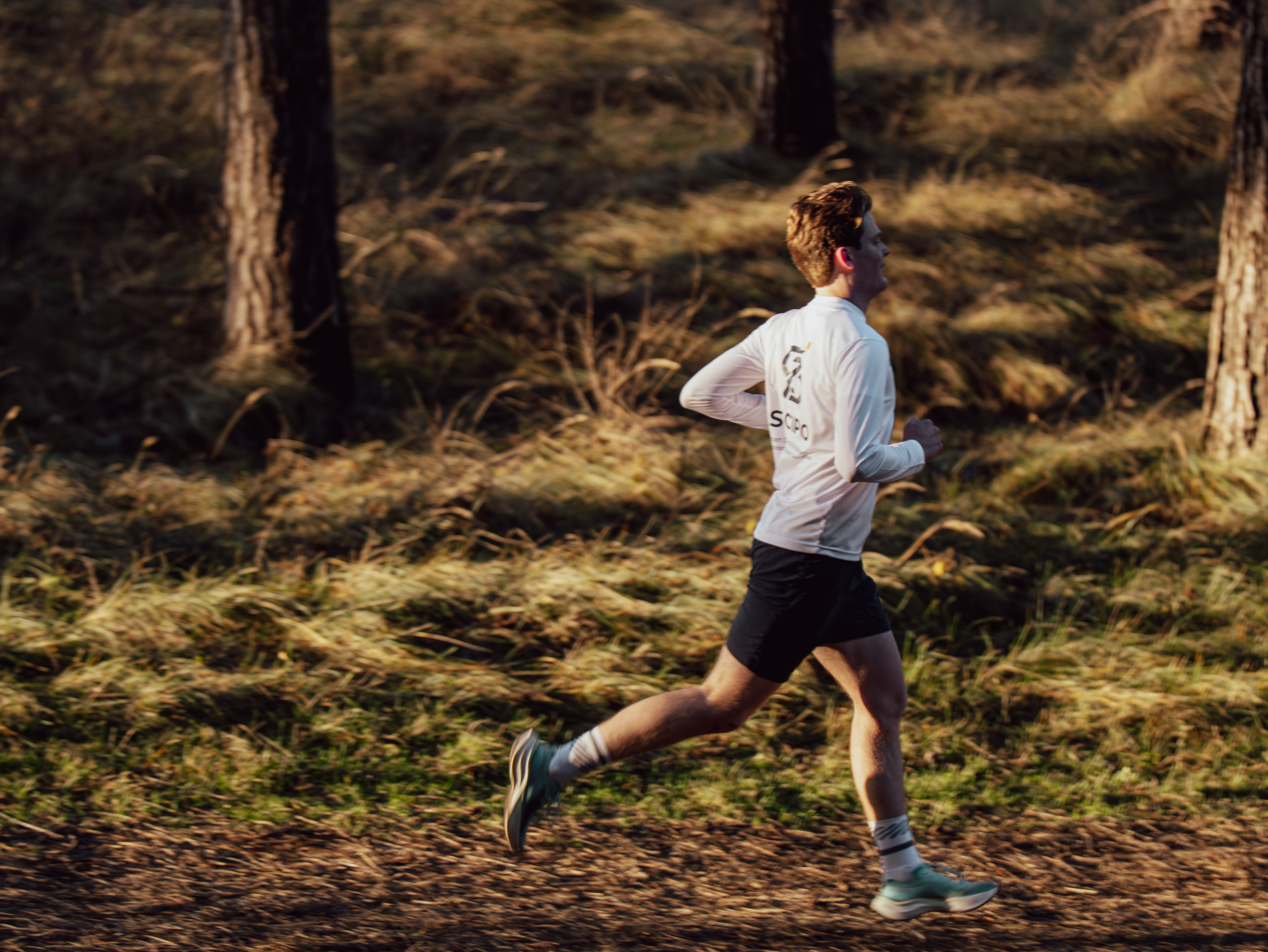 SCIPIO running through the woods with dune plants