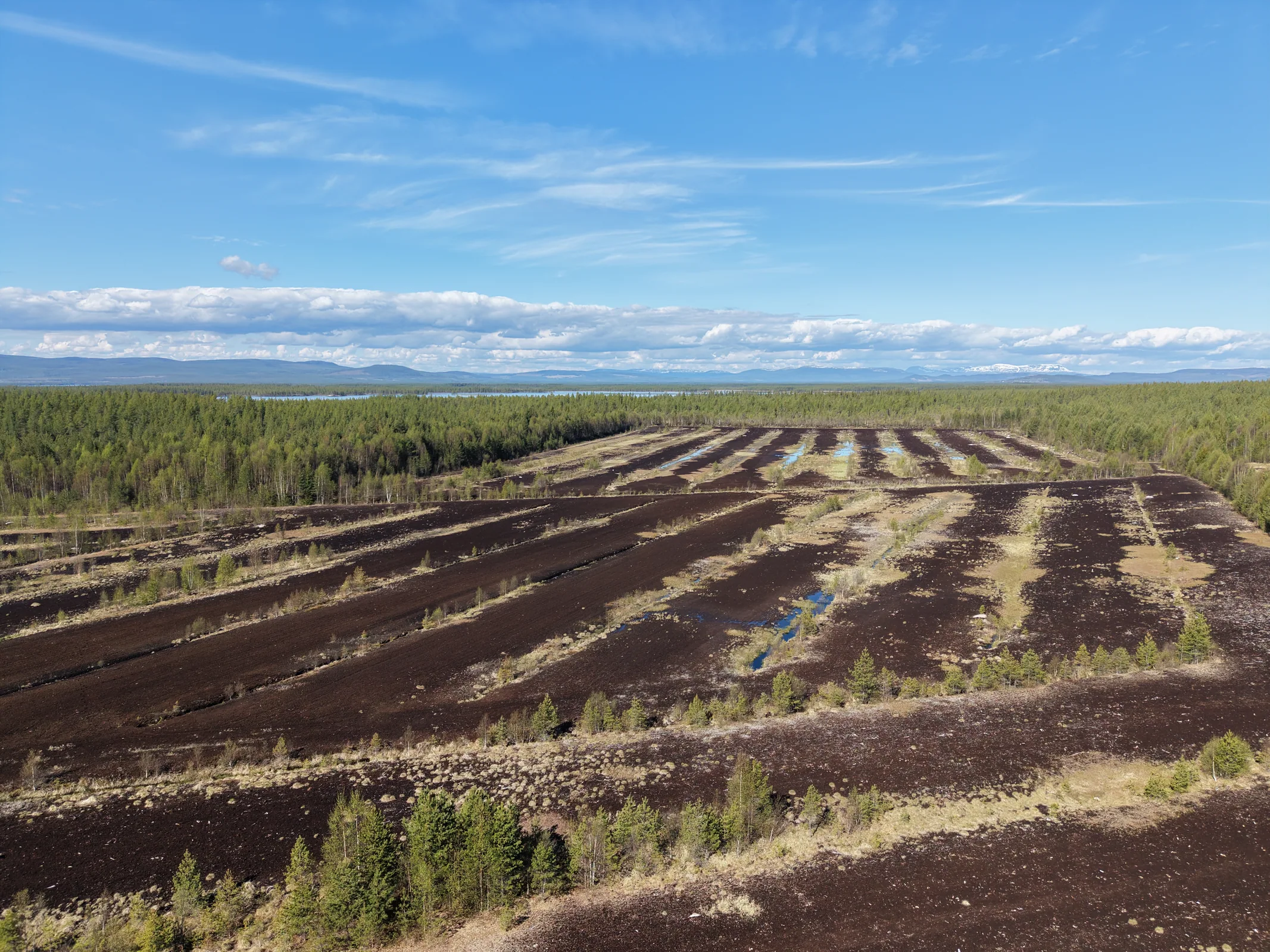 Illmyren peatland restoration project